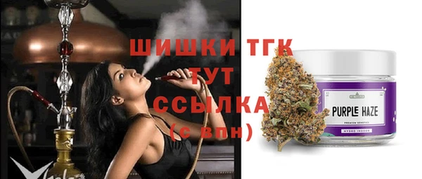 винт Арсеньев